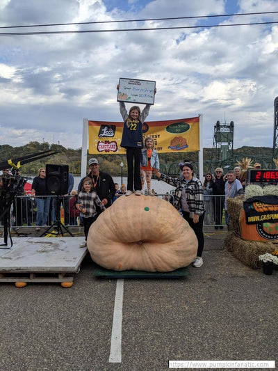 Best of Harvestfest: Top 3 2000lb Giant Pumpkin Seeds