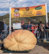 2357 Jacobus Giant Pumpkin Seed, Stillwater Heaviest Pumpkin