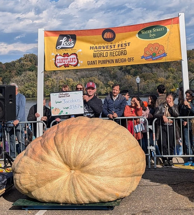 Best of Harvestfest: Top 3 2000lb Giant Pumpkin Seeds