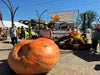 13,300lbs of Giant Pumpkin Genetics: Altoona top 6 seeds