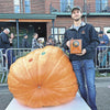 Contest-winning orange giant pumpkin seed collection